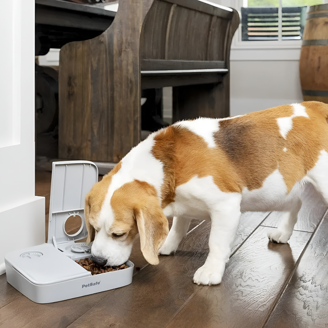 Healthy Feeding Supplies for Pets